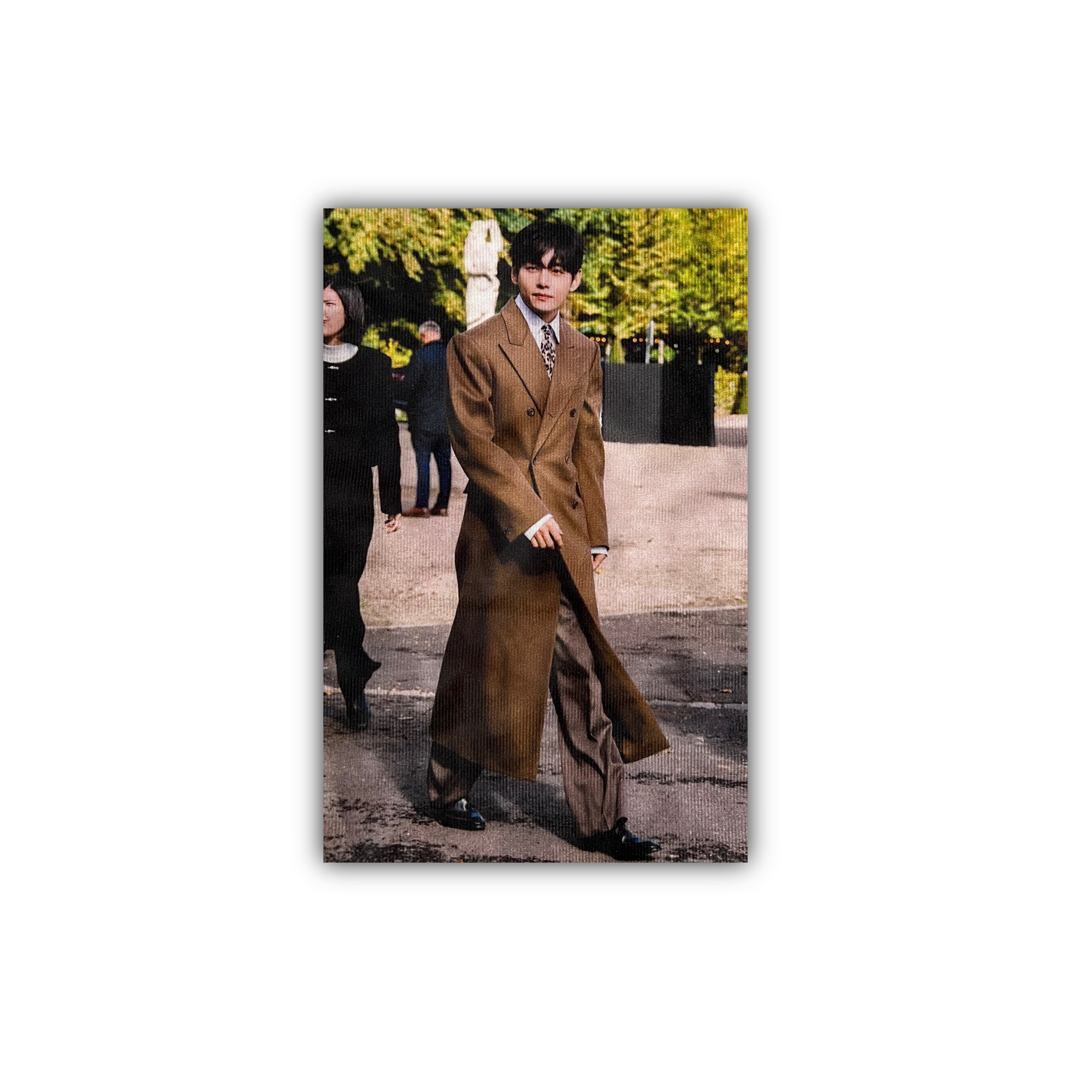 بکدراپ V in Celine fashion show